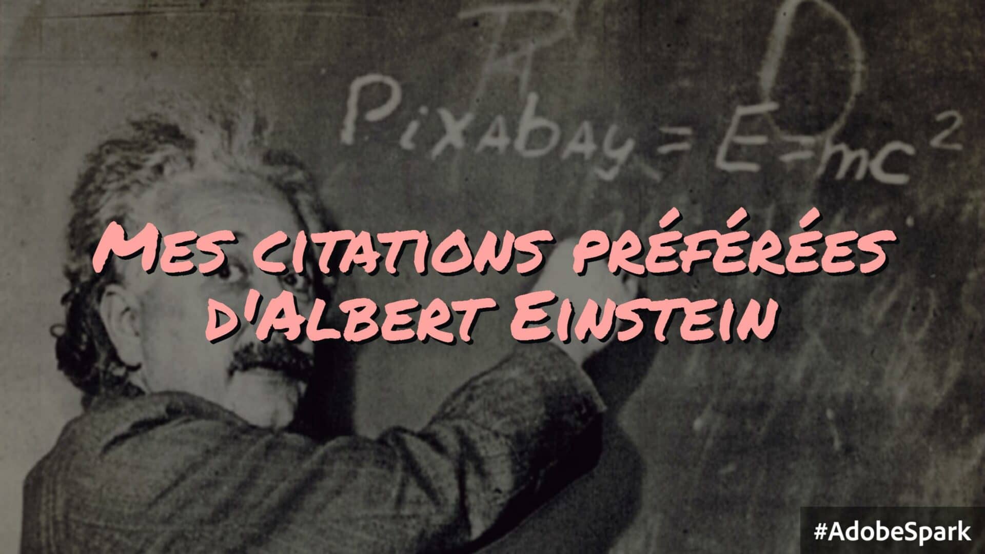 Mes Citations Preferees D Albert Einstein Book N Geek